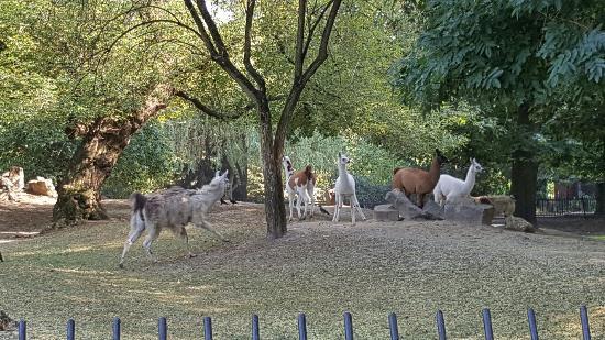 Miejski Ogród Zoologiczny w Warszawie
